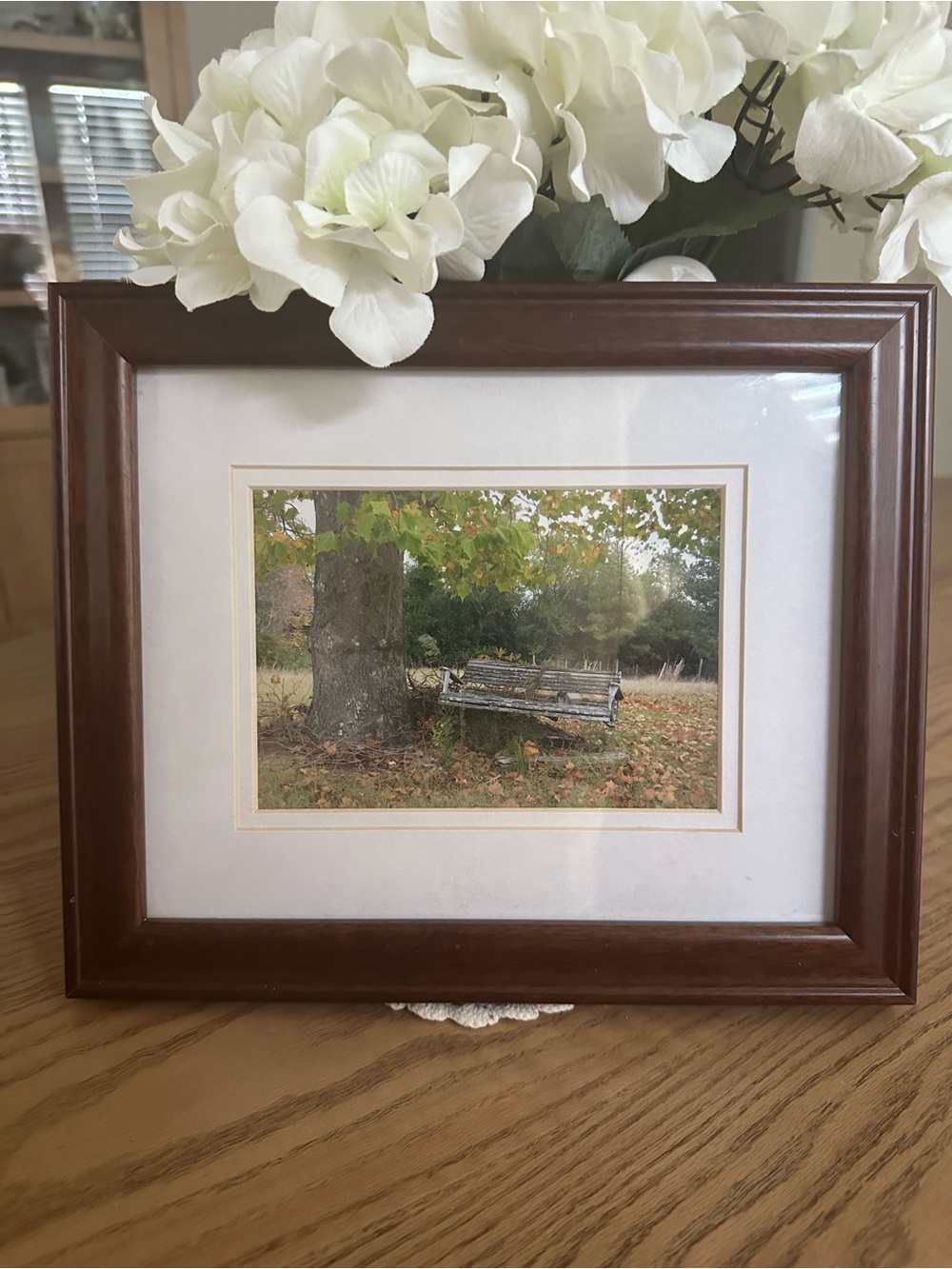 Beautiful Matted Wood Finish Brown Framed Wall Art - Tree w/ Old Swing. 9.5x11.5